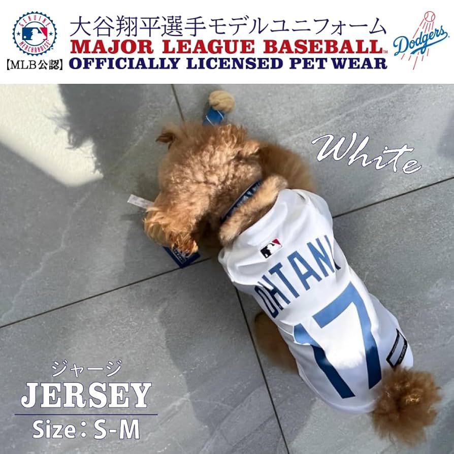 大谷翔平選手 Ｍサイズ レプリカ ジャージ 大谷翔平選手 Mサイズ レプリカ ジャージ Amazon